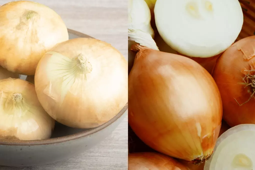 types of onions types of onions