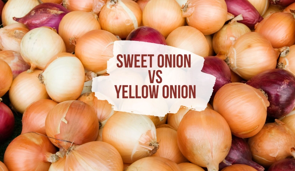caramelized onions recipe caramelized onions recipe