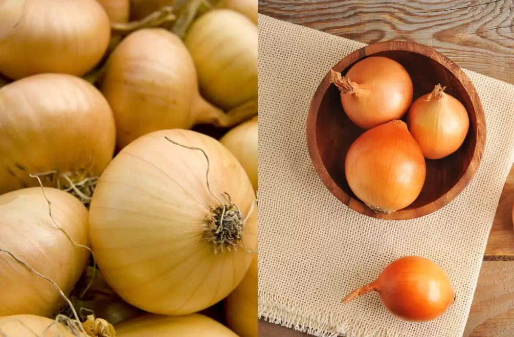 where to buy sweet onions
