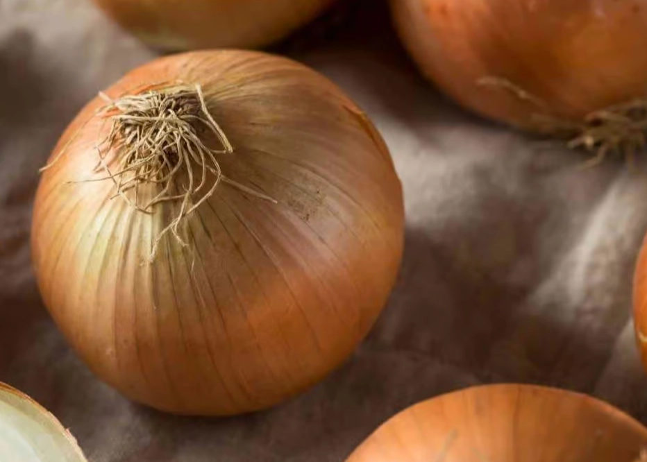 where to buy sweet onions where to buy sweet onions
