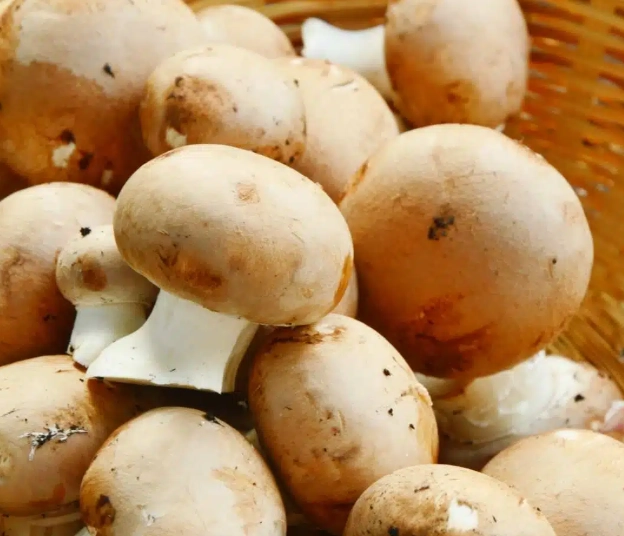 cremini mushrooms cremini mushrooms