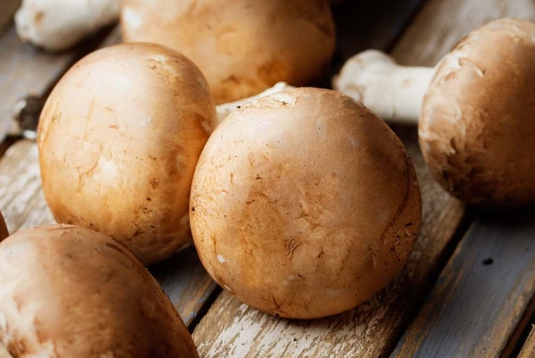 baby bella mushrooms baby bella mushrooms