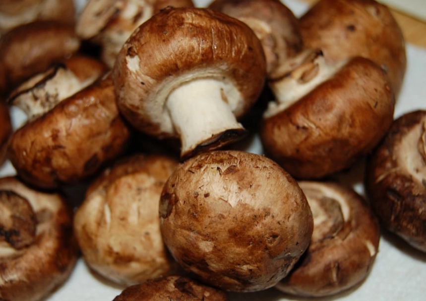 cremini mushrooms cremini mushrooms